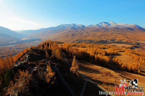 秋日喀纳斯湖旅游：阳光普照下的雪山和森林
