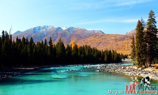 秋日喀纳斯湖旅游：阳光普照下的雪山和森林