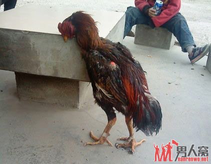 这样都能睡着