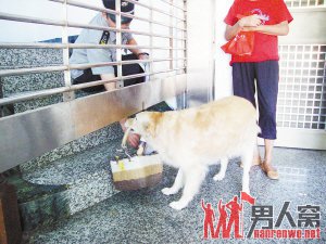 给银行保安送报纸