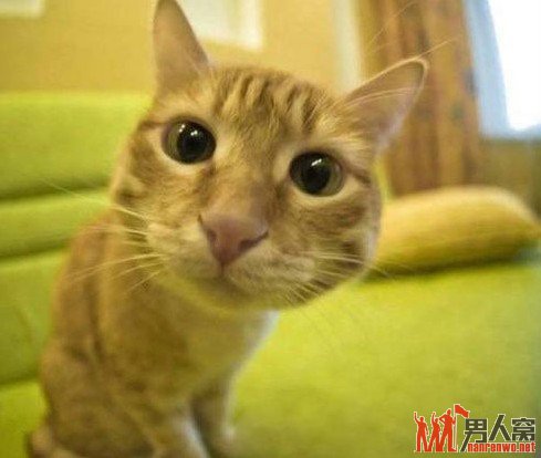 瞪眼是最基本的