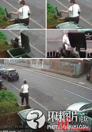 英国无聊大婶扔猫被判五年内不得养宠物