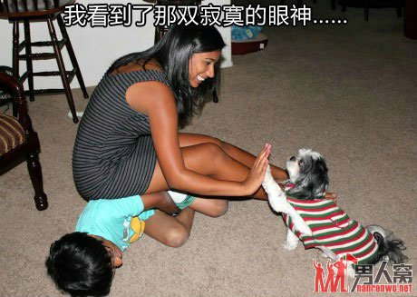 ԣϲǸк