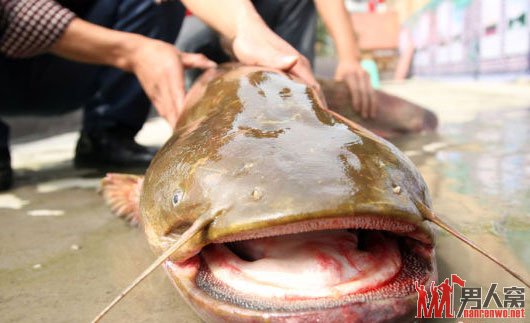 "������"����ׯ���֮��