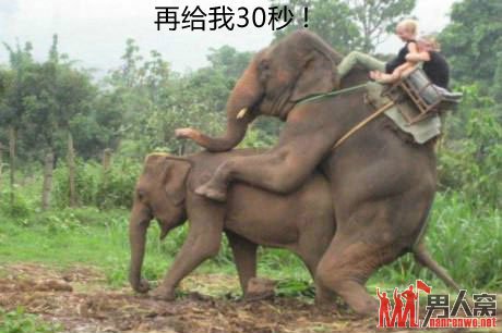 再给我30秒！