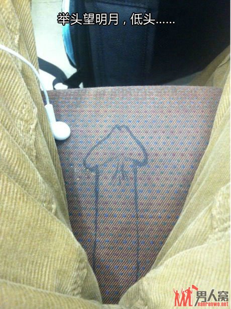举头望明月，低头……