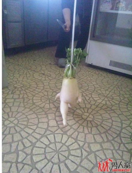·䡣