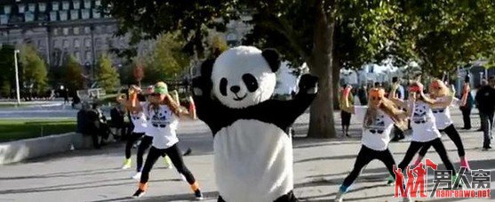成都《熊猫style》红遍全球 萌熊猫大跳骑马舞叫板鸟叔