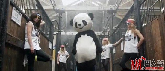 成都《熊猫style》红遍全球 萌熊猫大跳骑马舞叫板鸟叔