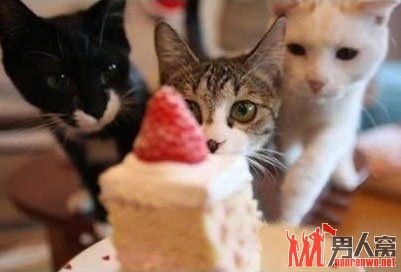 ˲ڼң˰