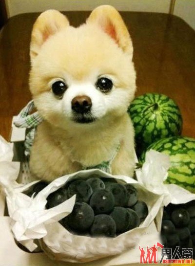 ʲôͦóԵ