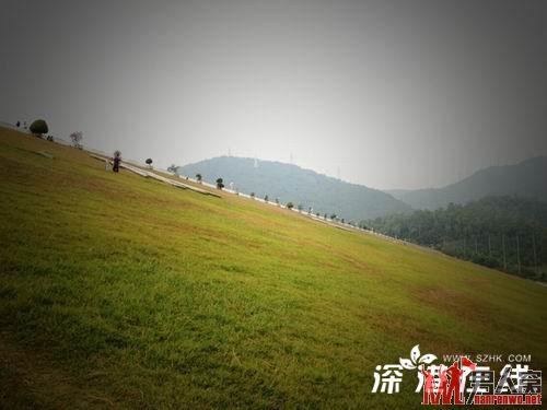 梅林水库大坝，青草依依，让人赏心悦目