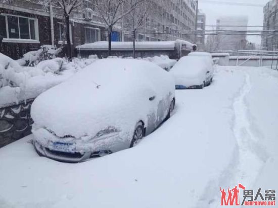 东北内蒙古雪灾：50年一遇的暴雪致使中小学停课