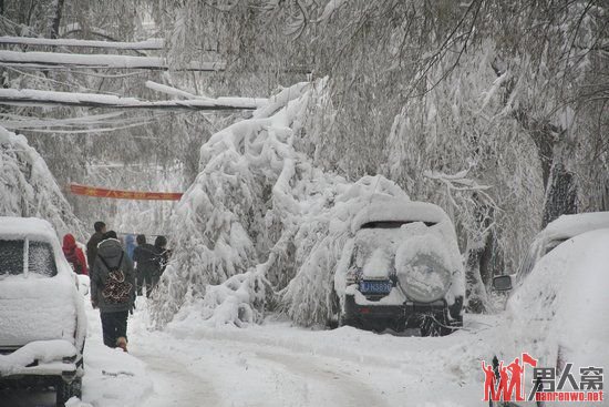 东北内蒙古雪灾：50年一遇的暴雪致使中小学停课