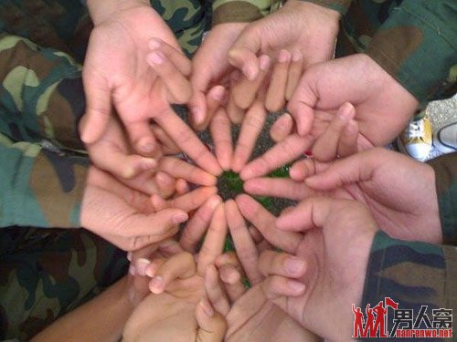 11只手，一起来爆菊花。