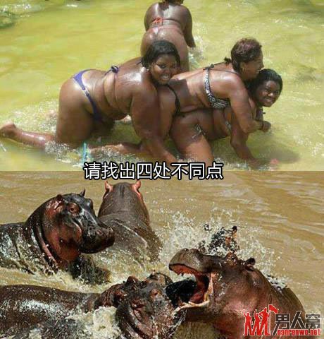 请找出四处不同点