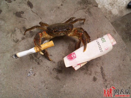 з磬Ҳ콭ˡ