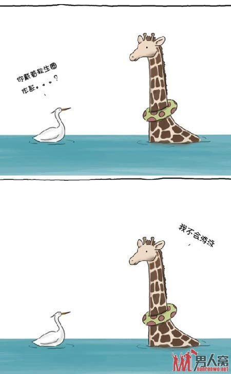 长颈鹿，你来游泳啊？