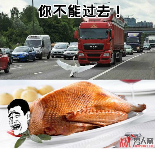 压过去，就是烤鸭了。