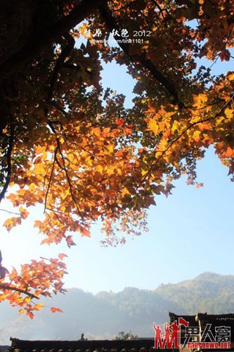 婺源石城：秋天独有的风景 云雾缭绕的仙境