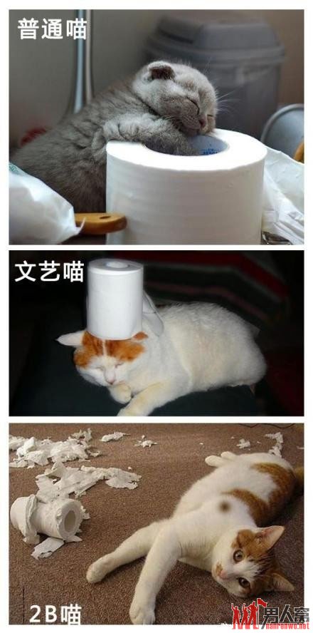 ЩèͳΪè