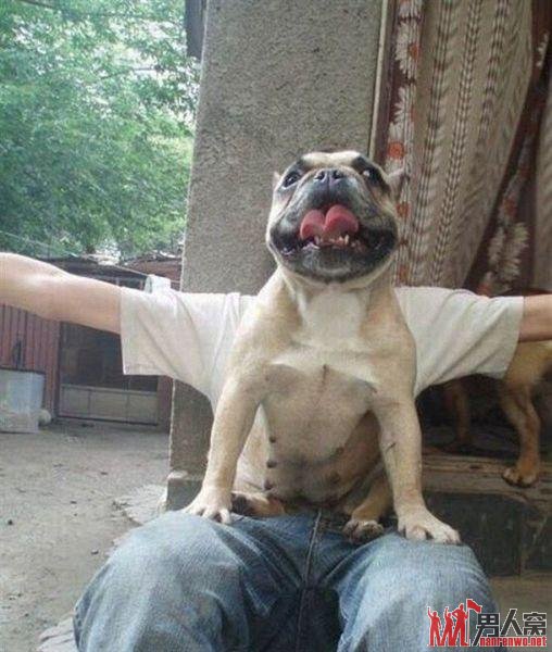 ֻǸɺ