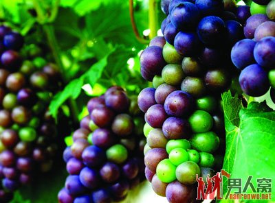 饭后十四个坏习惯危害男人的健康