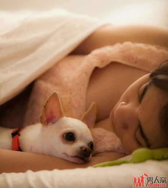 狐狸狗，好幸福。