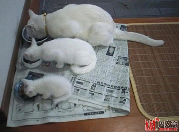 孙子，儿子，老子