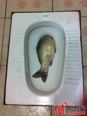 ڿʵ㣬ΪΪˮ