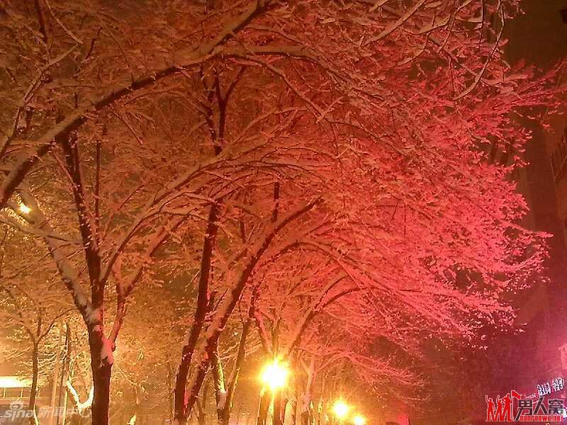 北京的雪夜