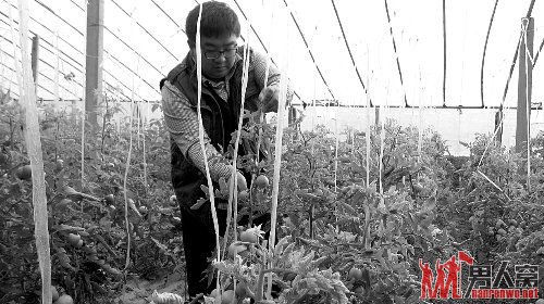 文科状元辞职回家种地 29岁成千万富翁