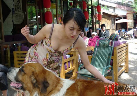 今天路边忽然发现的养眼一幕。
