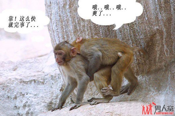 ôˡ
