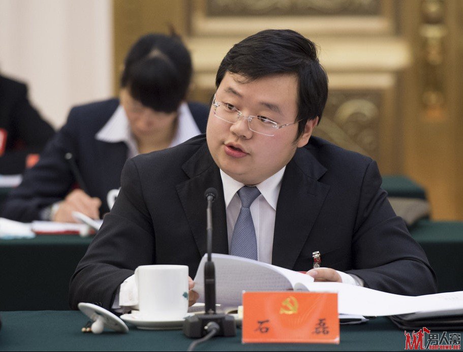 2012年11月9日，出席十八大的江苏省代表团代表石磊参加讨论。