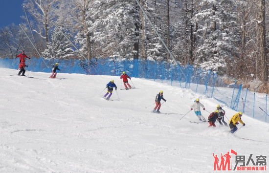 国内寻找冰雪圣地 尽享冬日的冰雪盛宴