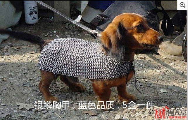 想来一件嘛