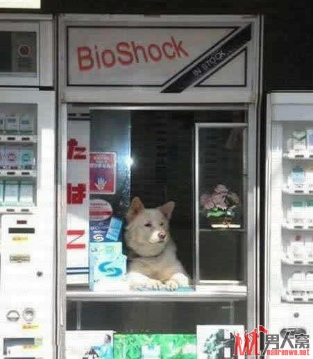 ʲô