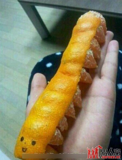 可爱的橘子君