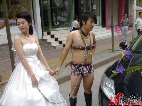 被驯服的野马！