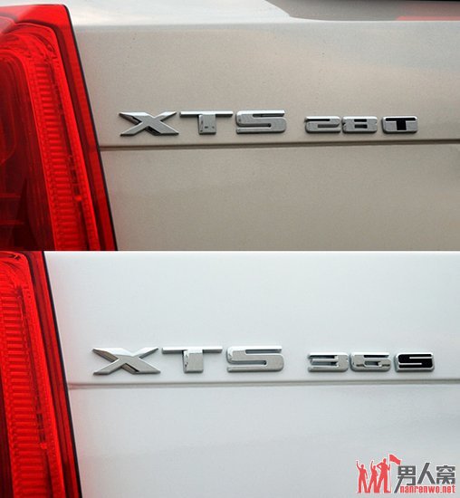 XTSβ