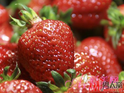 上班族挡住辐射圣品 白领养生必备