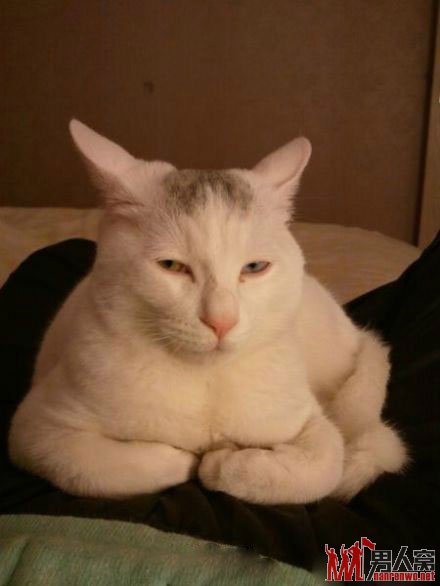 С~