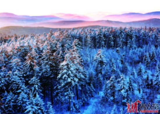 伊春之冬：银装素裹的壮观美景 犹如童话世界 