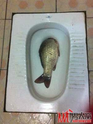 人为财死， 鱼为水亡