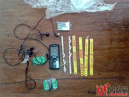 巴西警方捕获勇闯监狱的猫咪 它身上携带了手机以及越狱工具