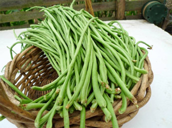Բʳ30 ʮ