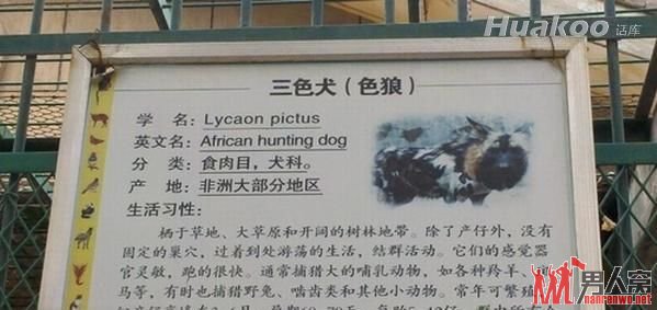 色狼是这么来的？