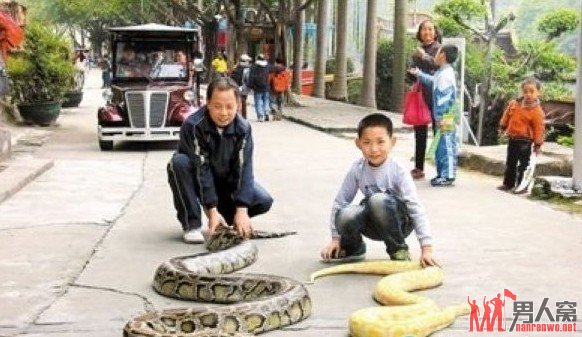 图示