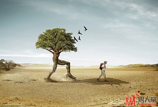 正解：大树下面好乘凉。